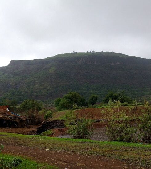 Tringalwadi_fort